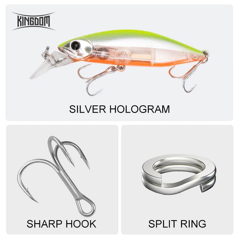 Kingdom Slow Sinking Pencil Noise Minnow - Fish & Cheaps | Fishing & Outdoor Gear