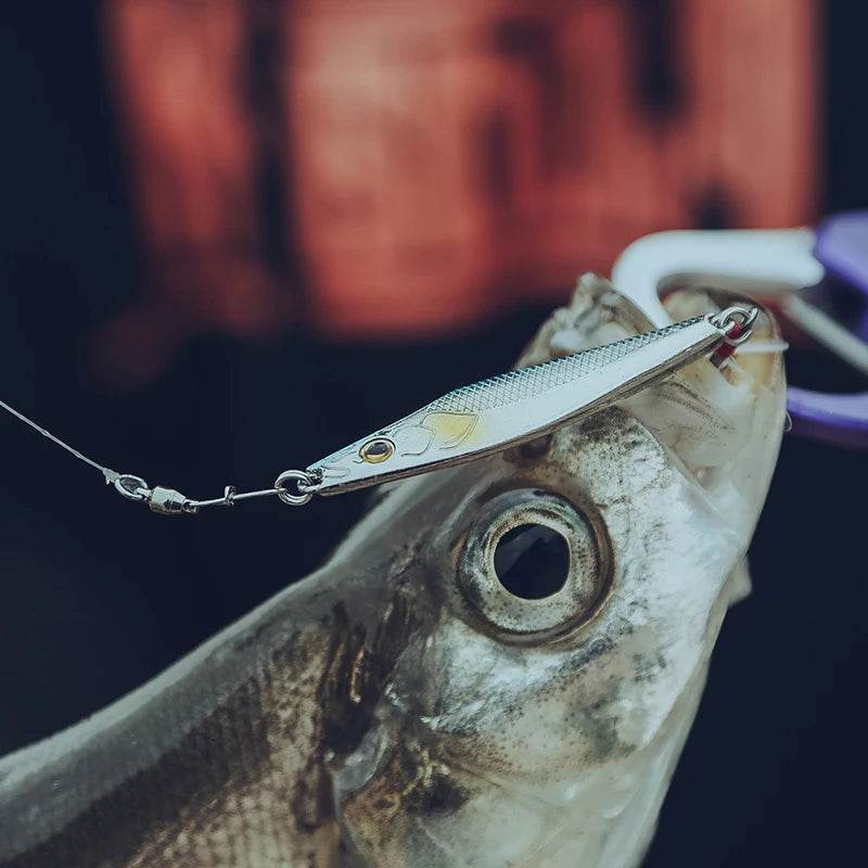 Kingdom Metal Jig Baits – Sinking Lures for Shore Cast - Fish & Cheaps | Fishing & Outdoor Gear