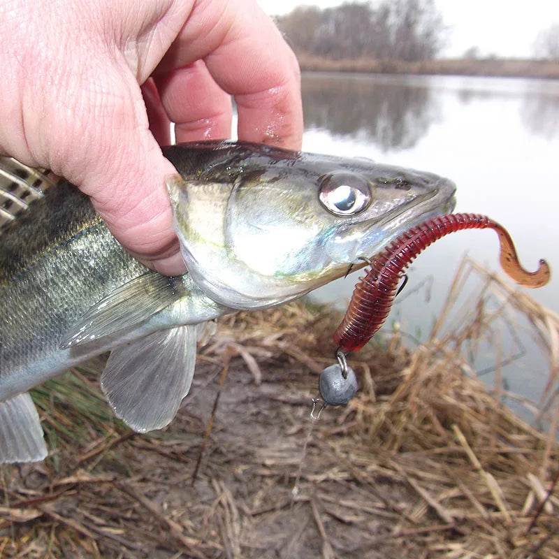 ALLBLUE DOMI Single Tail Soft Bait – Premium Grub Lure - Fish & Cheaps | Fishing & Outdoor Gear