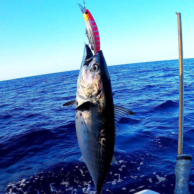 TSURINOYA 90S Heavy Minnow Sinking Lure - Fish & Cheaps | Fishing & Outdoor Gear