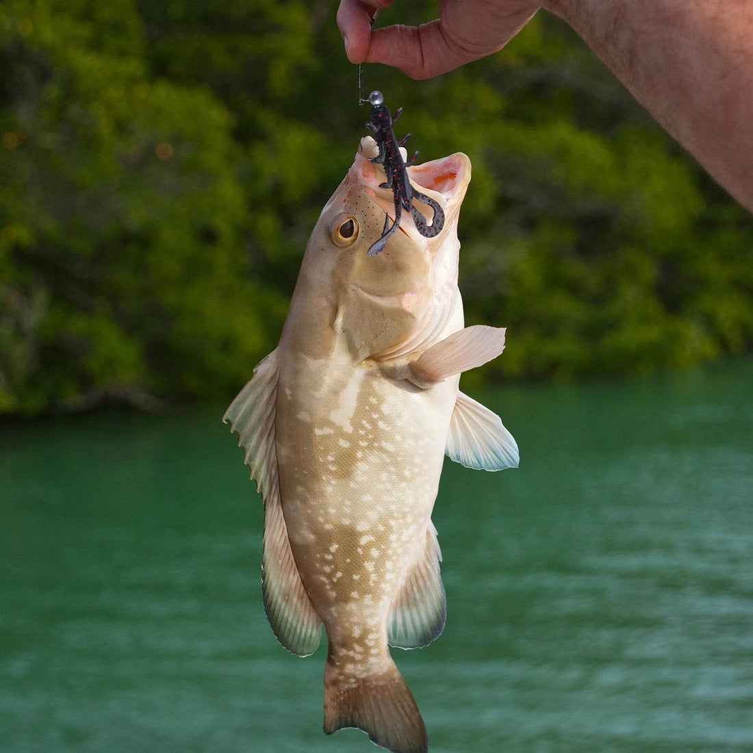 Goture 65mm Soft Bait Lure Set - Fish & Cheaps | Fishing & Outdoor Gear