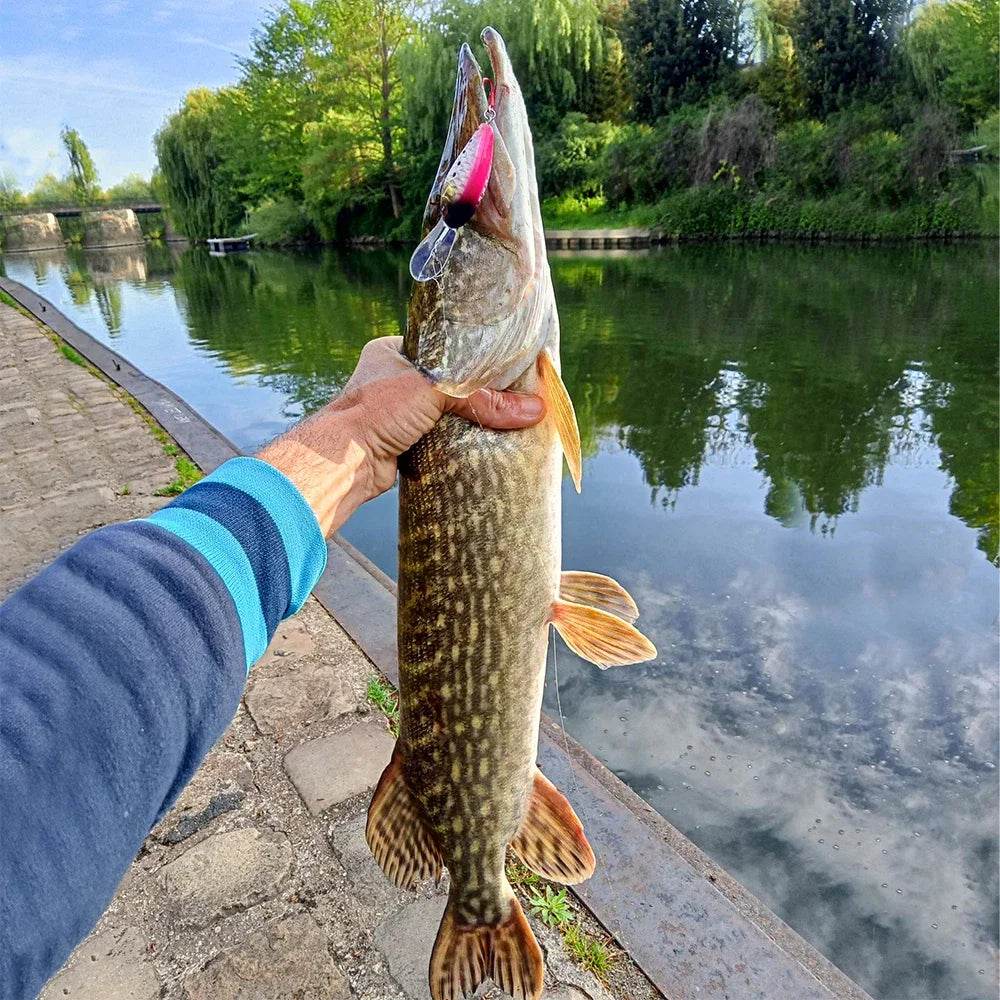 KINGDOM Floating Minnow Crankbait Lure - Fish & Cheaps | Fishing & Outdoor Gear