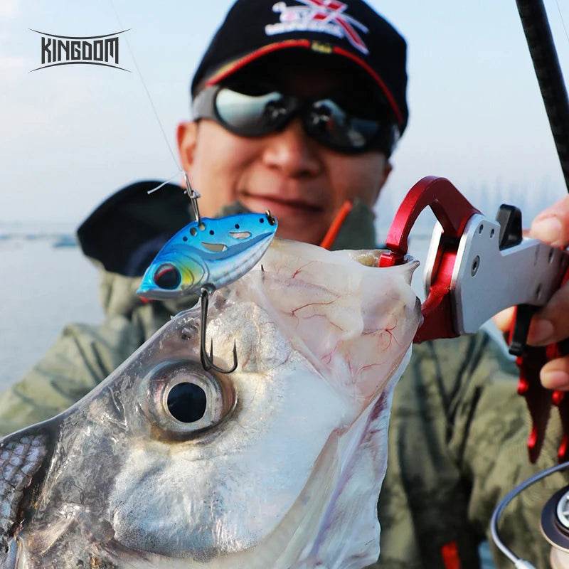 Kingdom Sinking VIB Fishing Lure - Fish & Cheaps | Fishing & Outdoor Gear