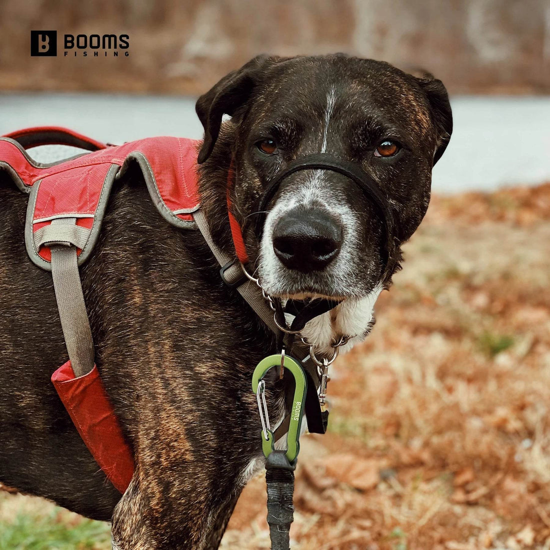 Booms Fishing 6cm Aluminium Carabiner Clips – 10 Pack - Fish & Cheaps | Fishing & Outdoor Gear