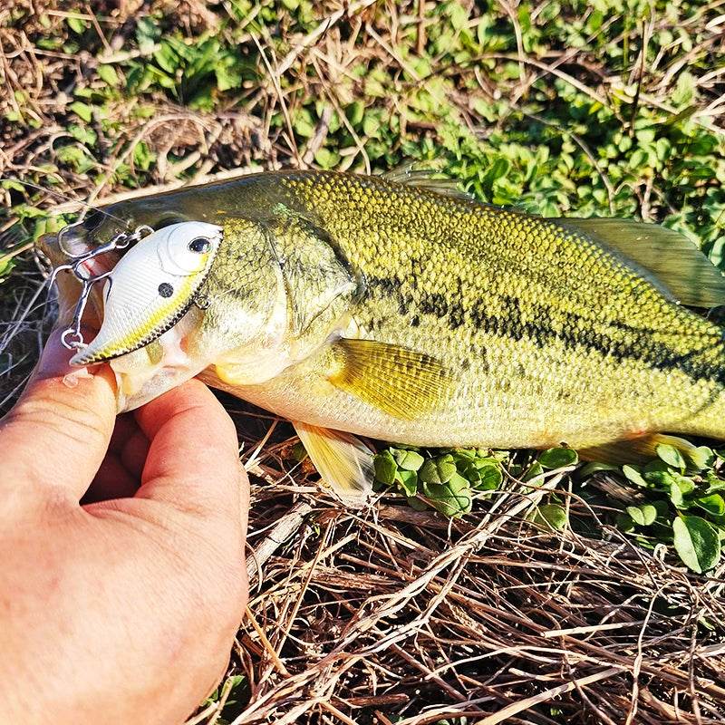 TSURINOYA TEMPTER 50S Vibration Lure - Fish & Cheaps | Fishing & Outdoor Gear