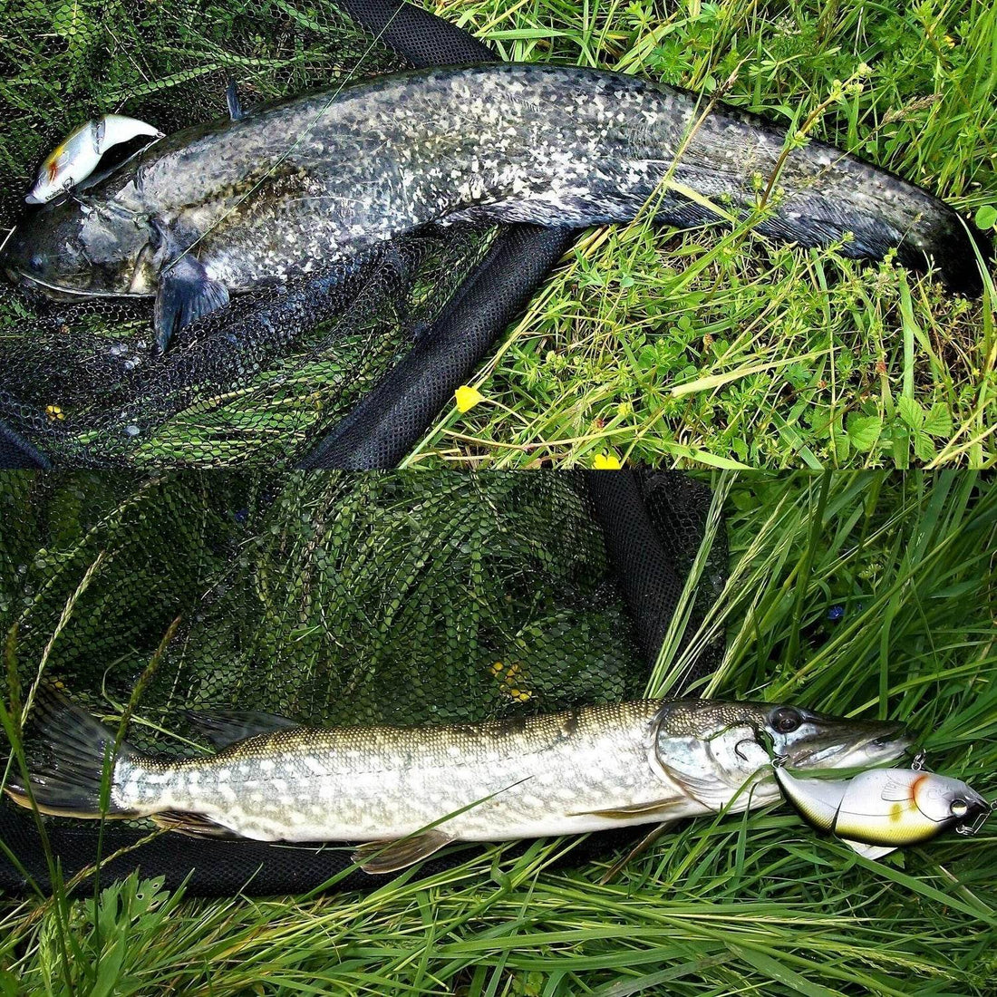 JOHNCOO 115mm Sinking VIB Crankbait - Fish & Cheaps | Fishing & Outdoor Gear